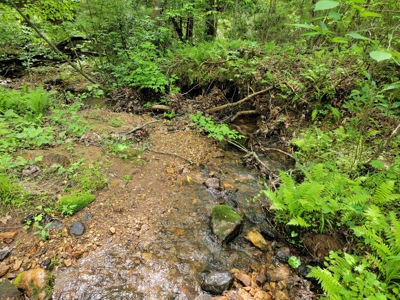 Offering #4 - Recreational Land for Sale - image 6