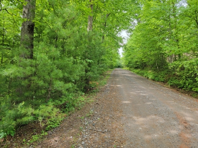 Offering #4 - Recreational Land for Sale - image 1