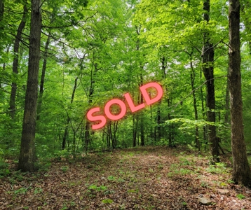 Offering #4 - Recreational Land for Sale - image 17