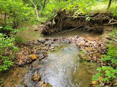 Offering #4 - Recreational Land for Sale - image 10
