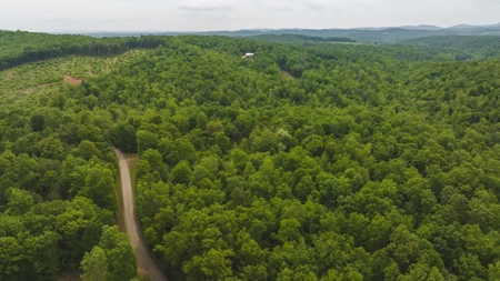 Offering #4 - Recreational Land for Sale - image 15