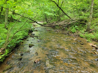 Offering #4 - Recreational Land for Sale - image 13