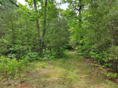 Offering #4 - Recreational Land for Sale - image 3