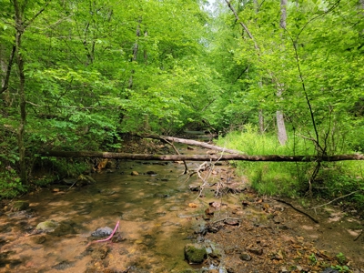 Offering #4 - Recreational Land for Sale - image 12