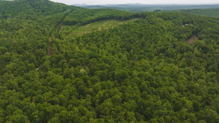 Offering #4 - Recreational Land for Sale - image 16