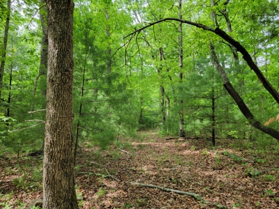 Offering #4 - Recreational Land for Sale - image 5
