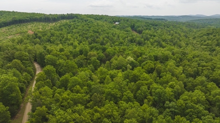 Offering #4 - Recreational Land for Sale - image 14