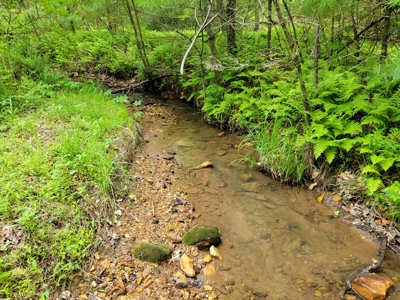 Offering #4 - Recreational Land for Sale - image 8