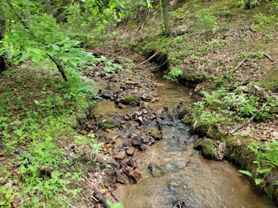 Offering #4 - Recreational Land for Sale - image 9