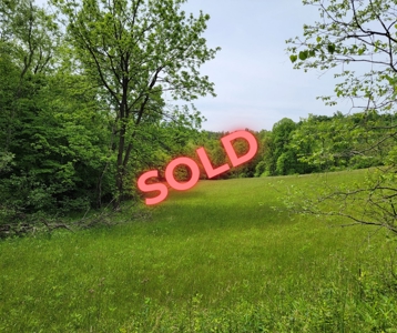 Offering #5 - Wooded Land for Sale in Patrick County VA - image 16