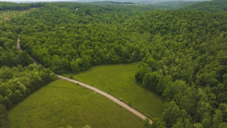 Offering #5 - Wooded Land for Sale in Patrick County VA - image 13