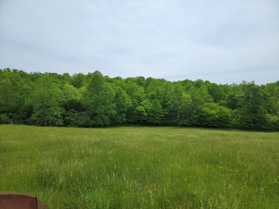 Offering #5 - Wooded Land for Sale in Patrick County VA - image 4