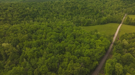 Offering #5 - Wooded Land for Sale in Patrick County VA - image 14