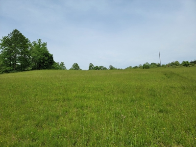 Offering #5 - Wooded Land for Sale in Patrick County VA - image 6