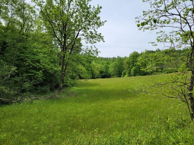 Offering #5 - Wooded Land for Sale in Patrick County VA - image 1