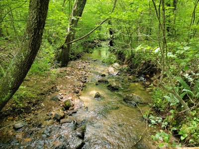 Offering #5 - Wooded Land for Sale in Patrick County VA - image 11