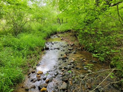 Offering #5 - Wooded Land for Sale in Patrick County VA - image 10