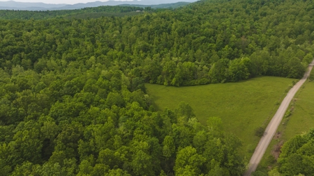 Offering #5 - Wooded Land for Sale in Patrick County VA - image 15