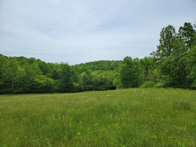 Offering #5 - Wooded Land for Sale in Patrick County VA - image 3