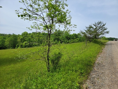 Offering #5 - Wooded Land for Sale in Patrick County VA - image 2