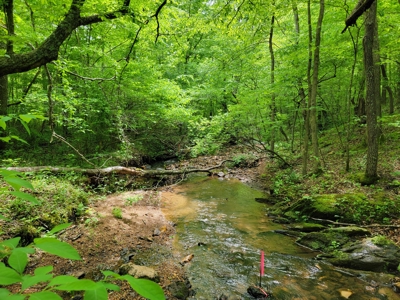Offering #5 - Wooded Land for Sale in Patrick County VA - image 12