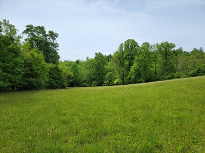 Offering #5 - Wooded Land for Sale in Patrick County VA - image 5