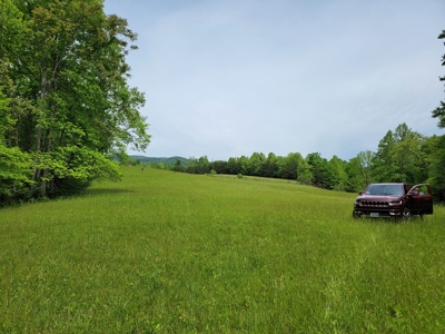 Offering #6 - Hunting Property for Sale in Woolwine VA - image 5