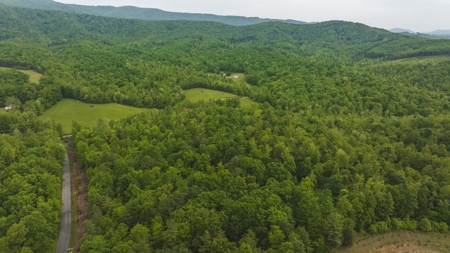 Offering #6 - Hunting Property for Sale in Woolwine VA - image 8