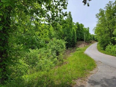 Offering #6 - Hunting Property for Sale in Woolwine VA - image 7