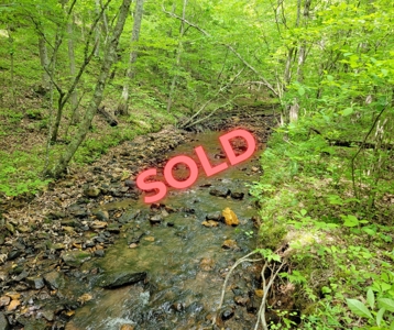 Offering #6 - Hunting Property for Sale in Woolwine VA - image 11