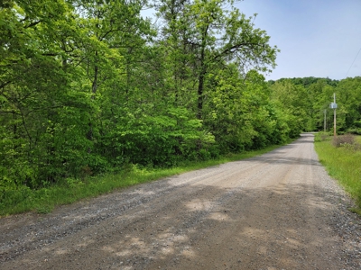 Offering #6 - Hunting Property for Sale in Woolwine VA - image 6