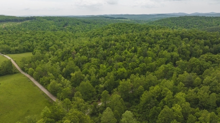 Offering #6 - Hunting Property for Sale in Woolwine VA - image 9