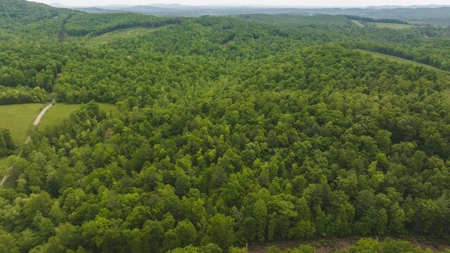 Offering #6 - Hunting Property for Sale in Woolwine VA - image 10