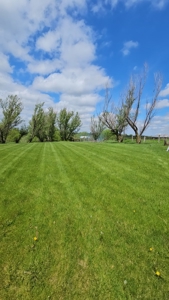 Iowa Home and Acreage For Sale - image 28