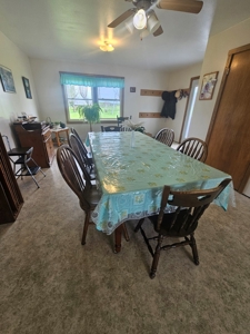 Iowa Home and Acreage For Sale - image 2