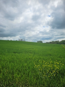 Iowa Home and Acreage For Sale - image 48