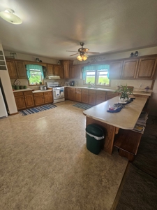 Iowa Home and Acreage For Sale - image 3