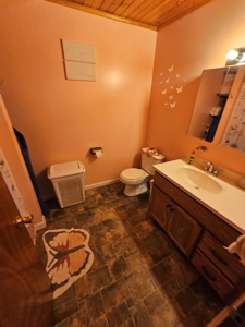 Iowa Home and Acreage For Sale - image 24