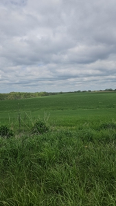 Iowa Home and Acreage For Sale - image 42