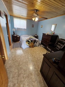 Iowa Home and Acreage For Sale - image 18