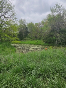 Iowa Home and Acreage For Sale - image 47