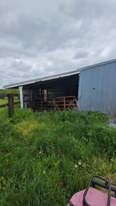 Iowa Home and Acreage For Sale - image 45