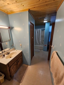 Iowa Home and Acreage For Sale - image 19