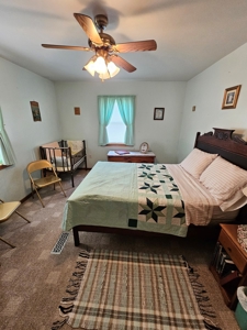 Iowa Home and Acreage For Sale - image 10