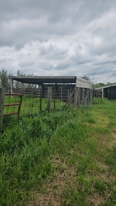 Iowa Home and Acreage For Sale - image 44