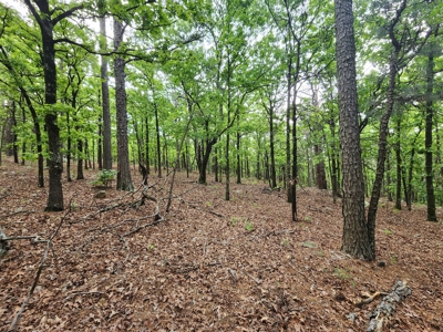 40 Acre Recreational Property – Winding Stair Mountains - image 12