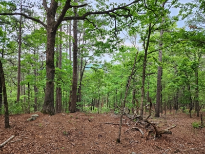 40 Acre Recreational Property – Winding Stair Mountains - image 6
