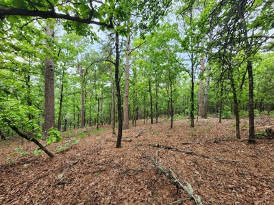 40 Acre Recreational Property – Winding Stair Mountains - image 5