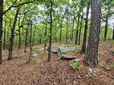 40 Acre Recreational Property – Winding Stair Mountains - image 3