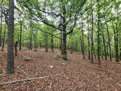 40 Acre Recreational Property – Winding Stair Mountains - image 4